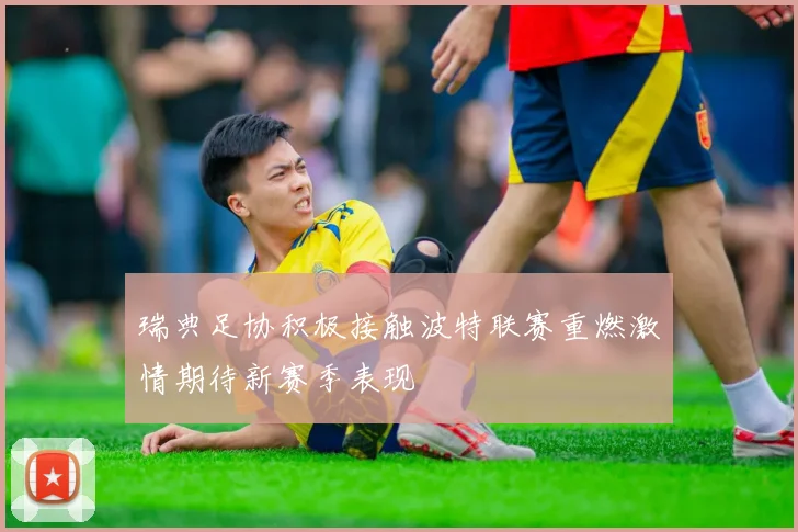 瑞典足协积极接触波特联赛重燃激情期待新赛季表现